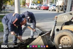 57486290_2668949109801802_5029876504318705664_o