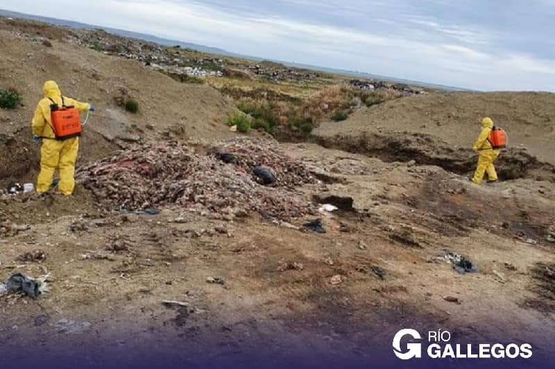 Fumigación en el Vaciadero